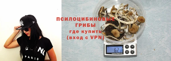 прущие крисы Балахна