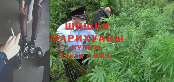 прущие крисы Балахна