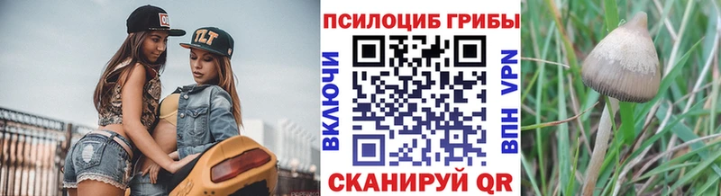 Галлюциногенные грибы прущие грибы  Красково 